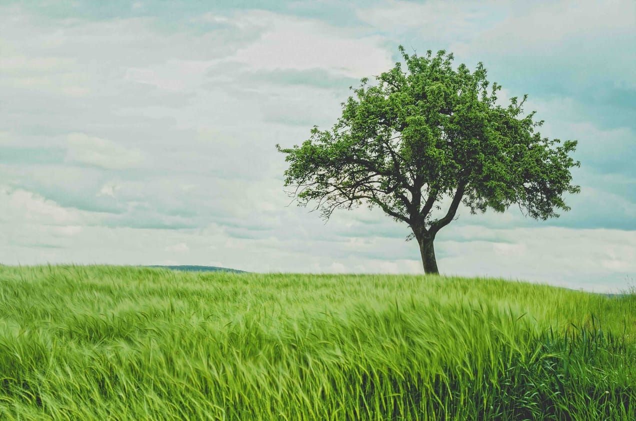 Philosophy and Ordinary Life