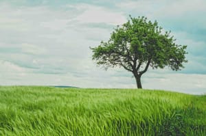Philosophy and Ordinary Life